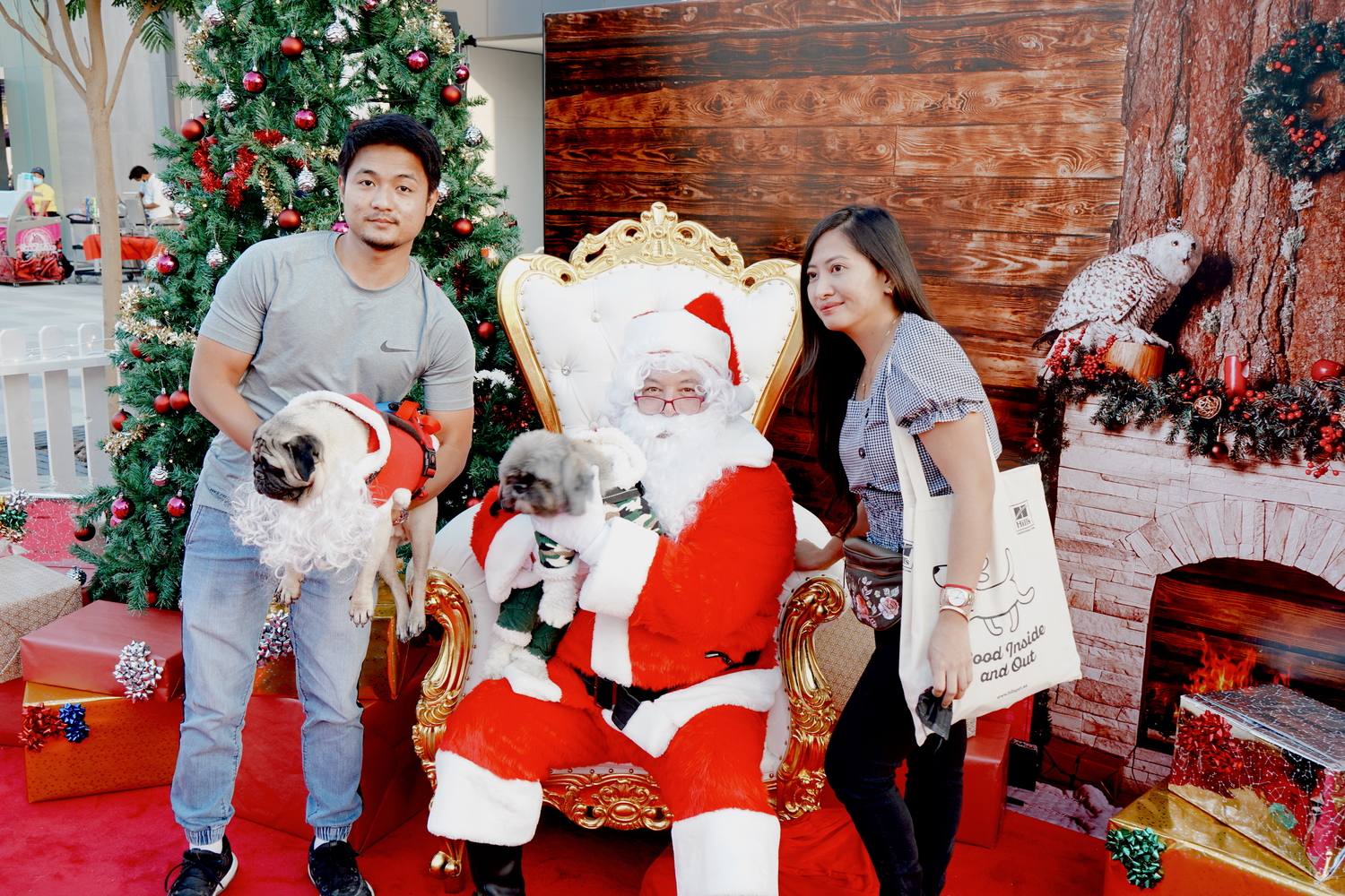 Santa Paws – Community Festive Activation & Winter Bazaar — 1