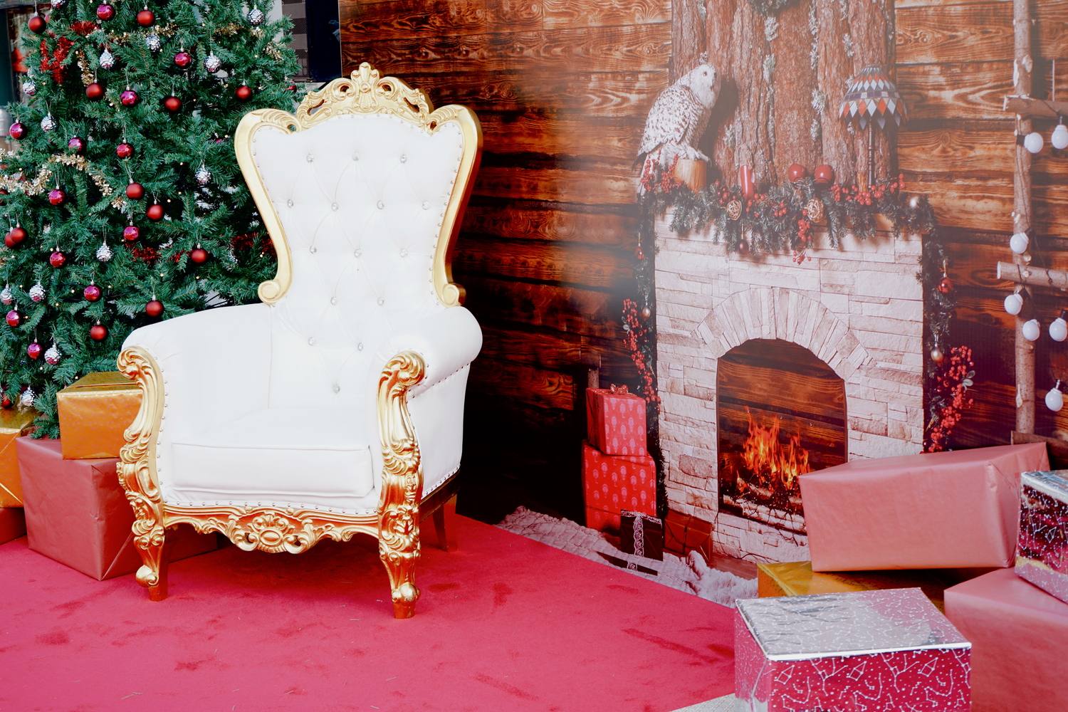 Santa Paws – Community Festive Activation & Winter Bazaar — 2