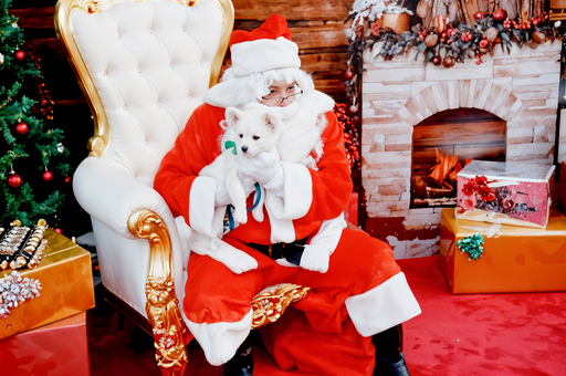 Santa Paws – Community Festive Activation & Winter Bazaar — 6